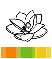 ayurveda