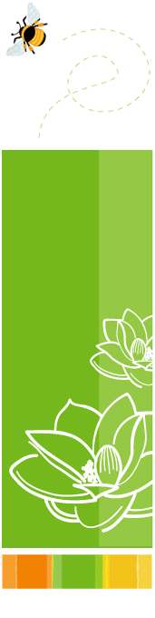 abhyanga - the ayurvedic massage